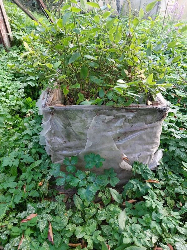 Загородная жизнь - обустройство на своей земле во всем ее разнообразии