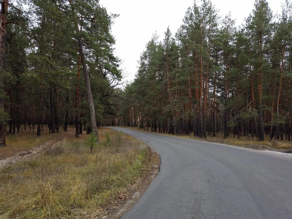 Чайная беседка