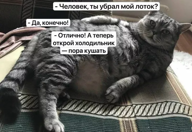 Посмеялся сам - поделись с другом!!!