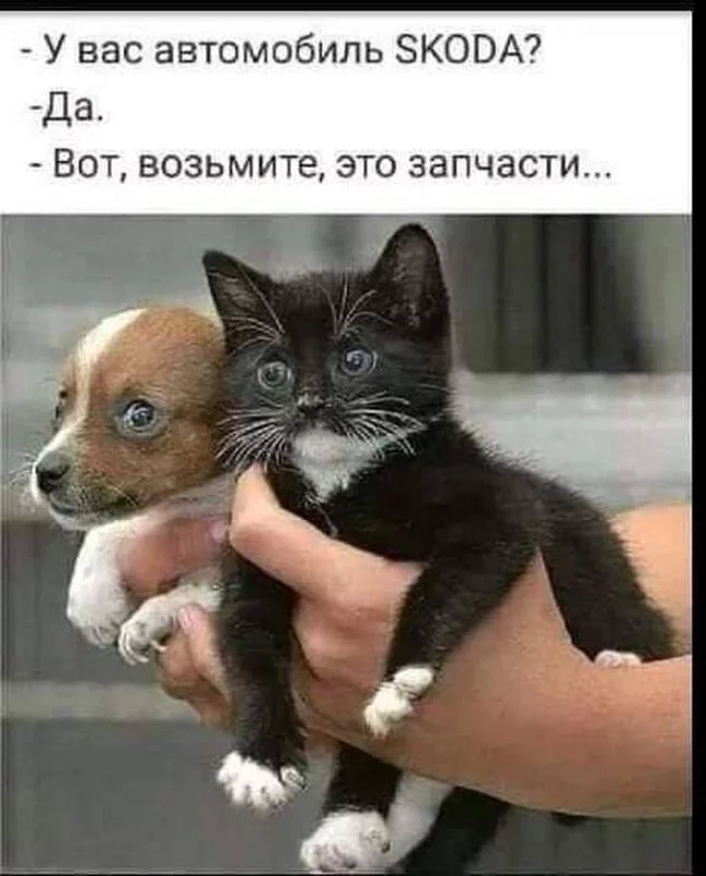 Посмеялся сам - поделись с другом!!!