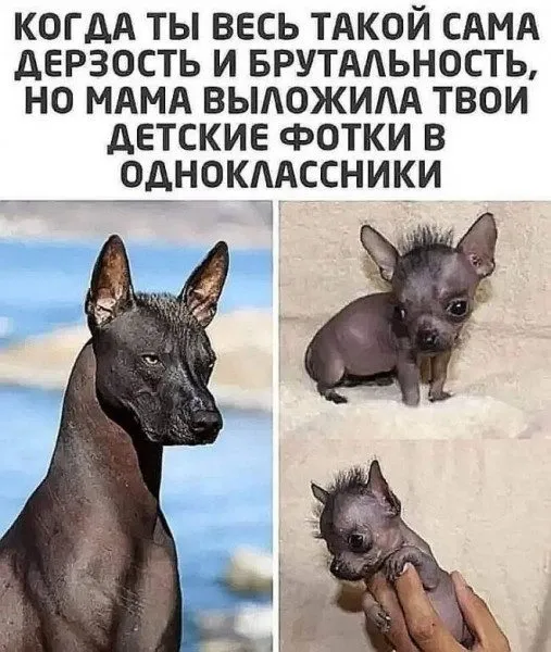 Посмеялся сам - поделись с другом!!!