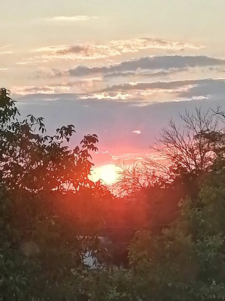 Такое разное небо