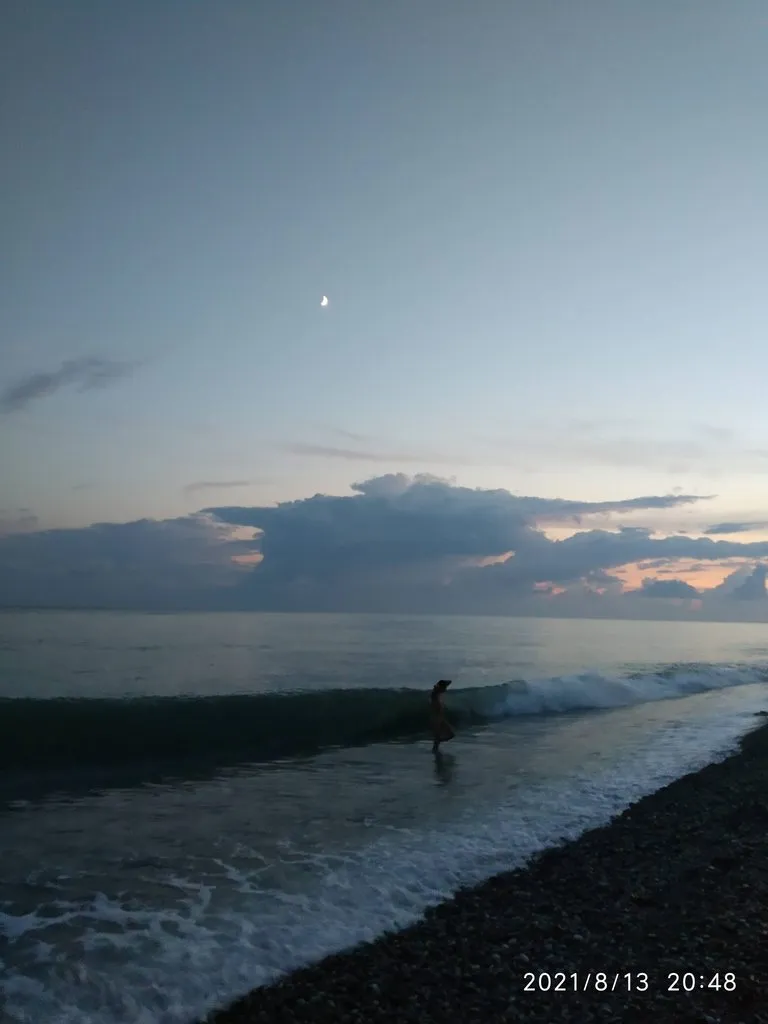 Tapтaлeтки & Ко