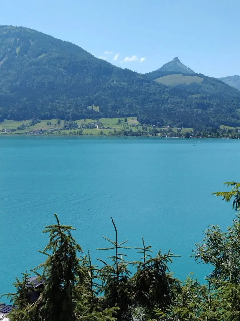 Чайная беседка