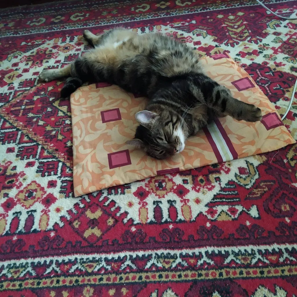 Чайная беседка