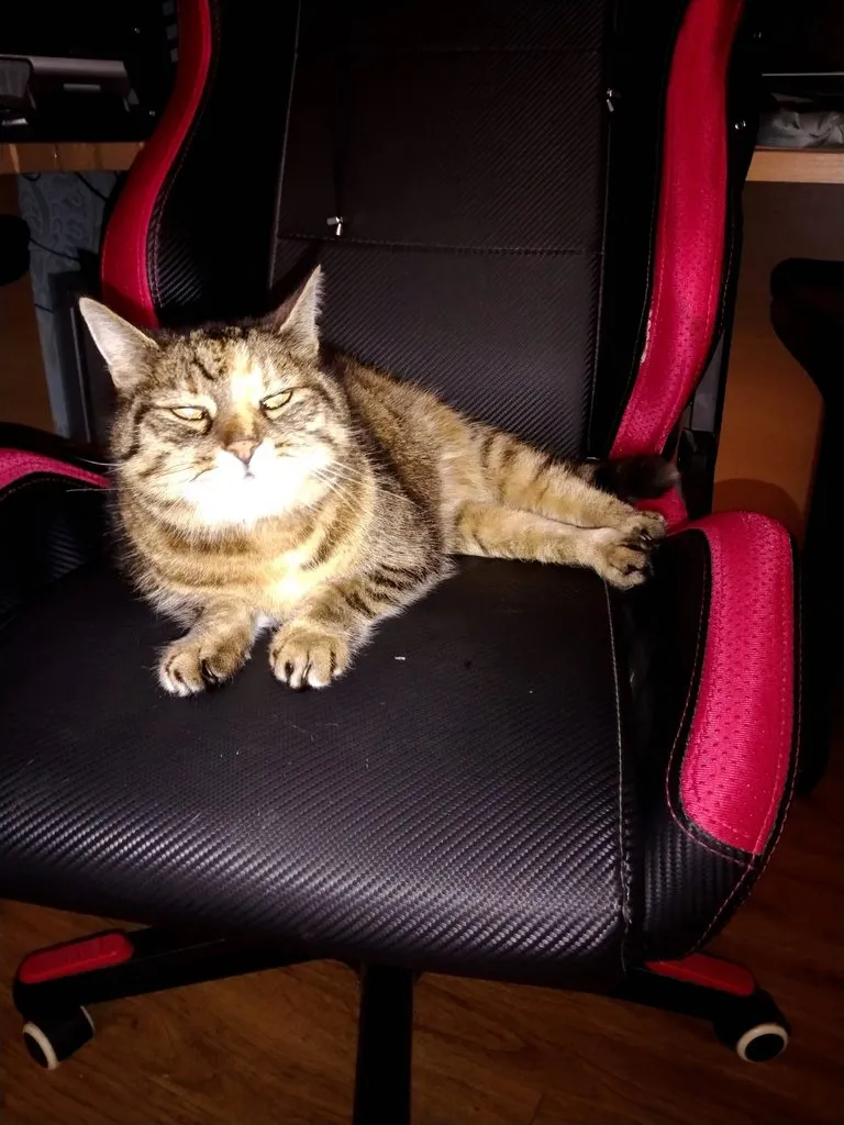 Чайная беседка