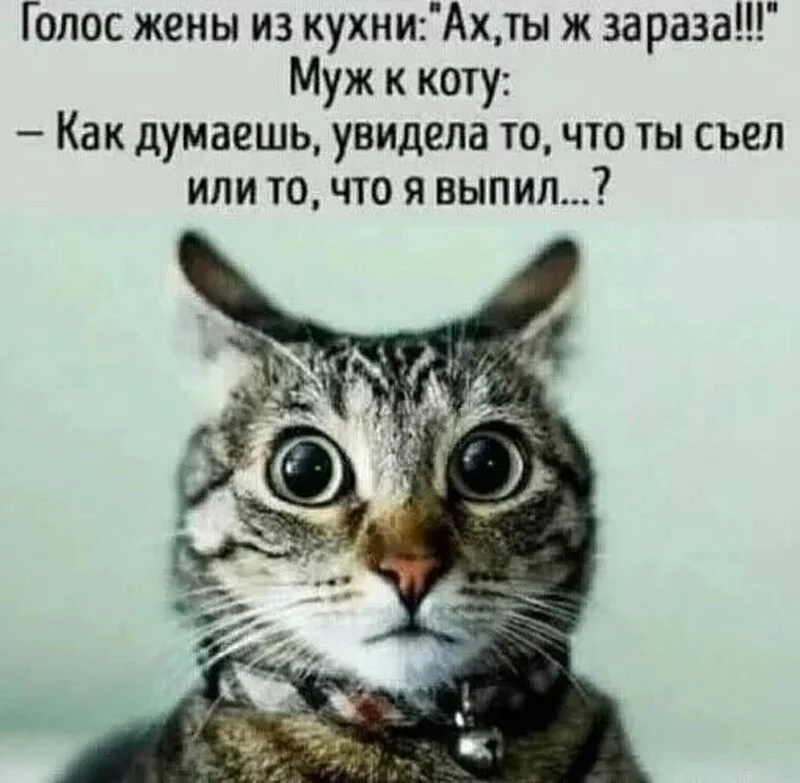 Посмеялся сам - поделись с другом!!!