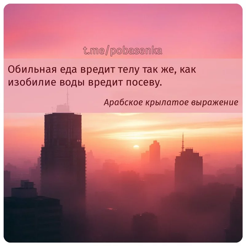 «Обильная еда вредит телу так же, как изобилие воды вредит...» height="550" width="550"
