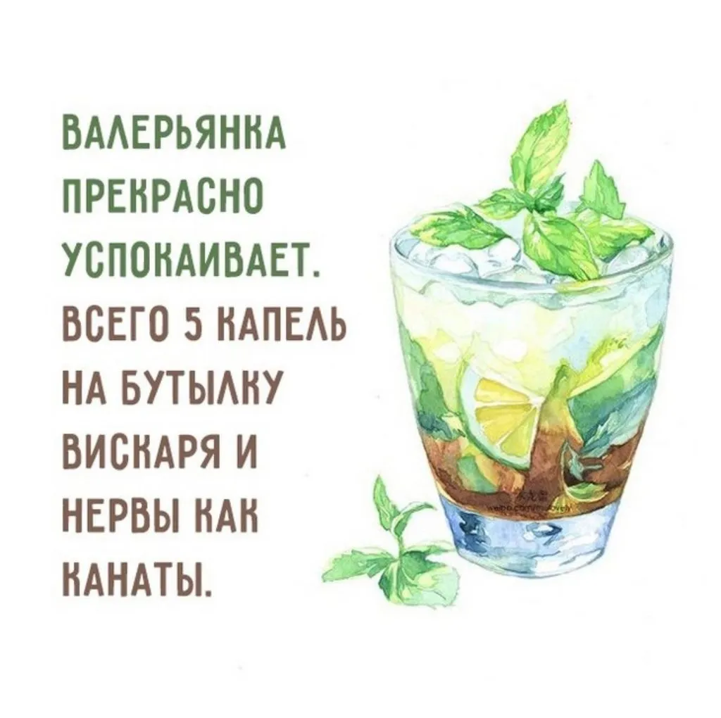 Посмеялся сам - поделись с другом!!!