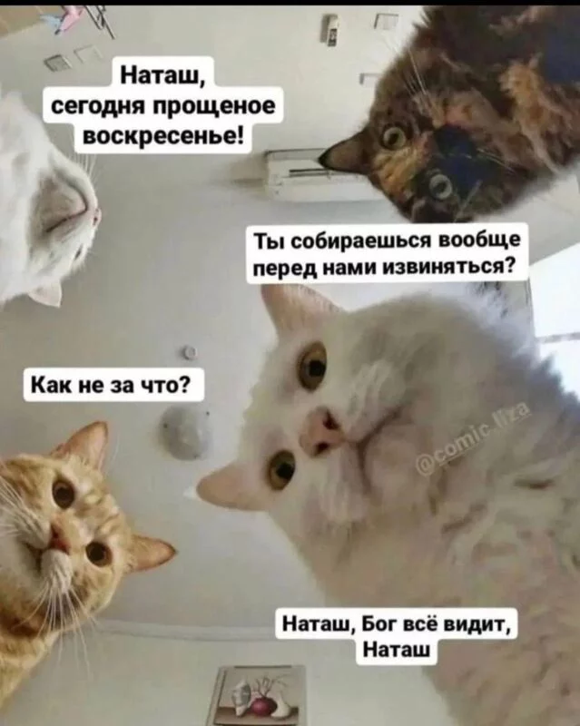Посмеялся сам - поделись с другом!!!