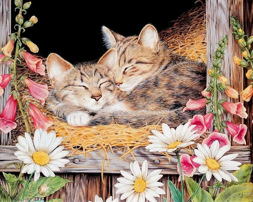 Кафе «У пани Сони»