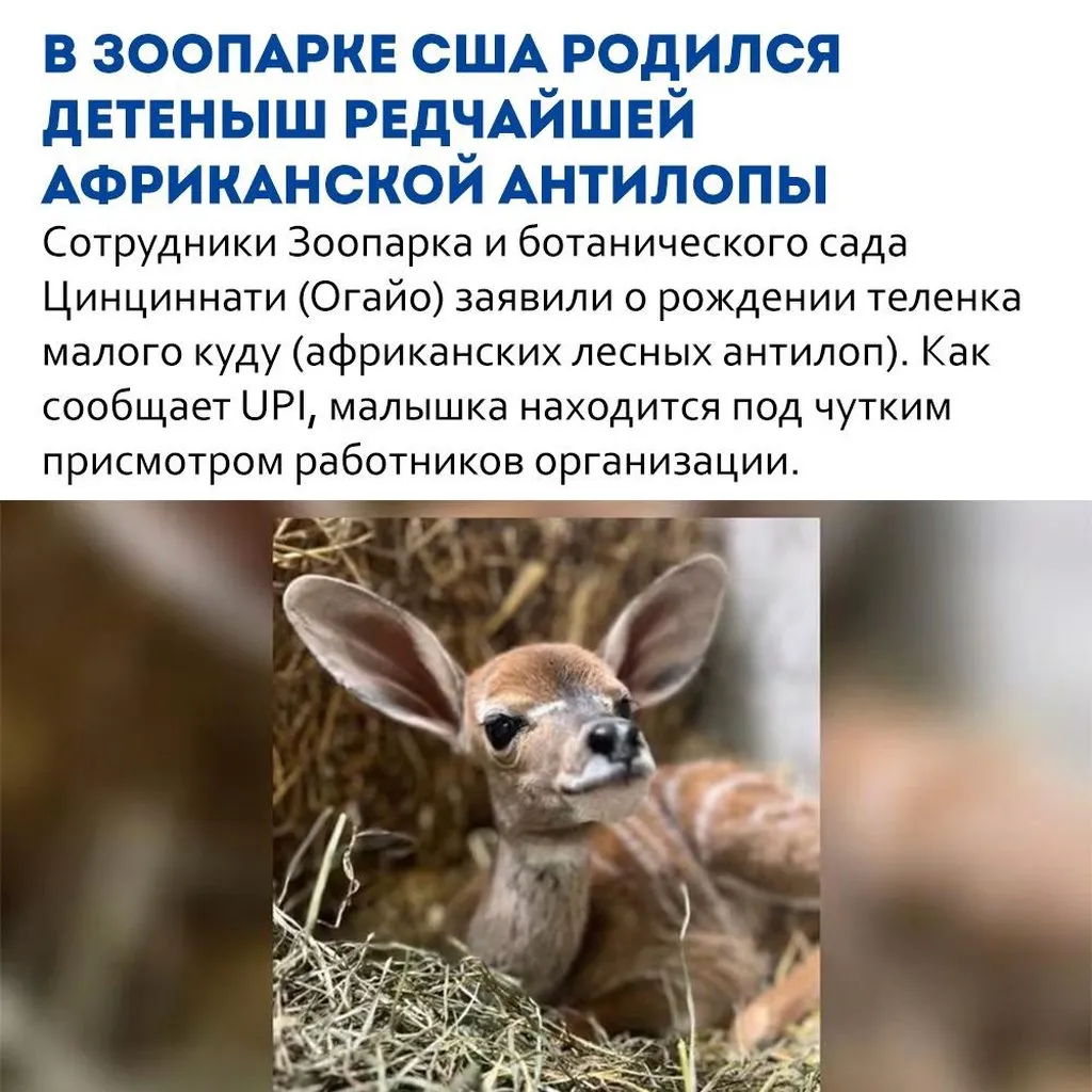 Это интересно!