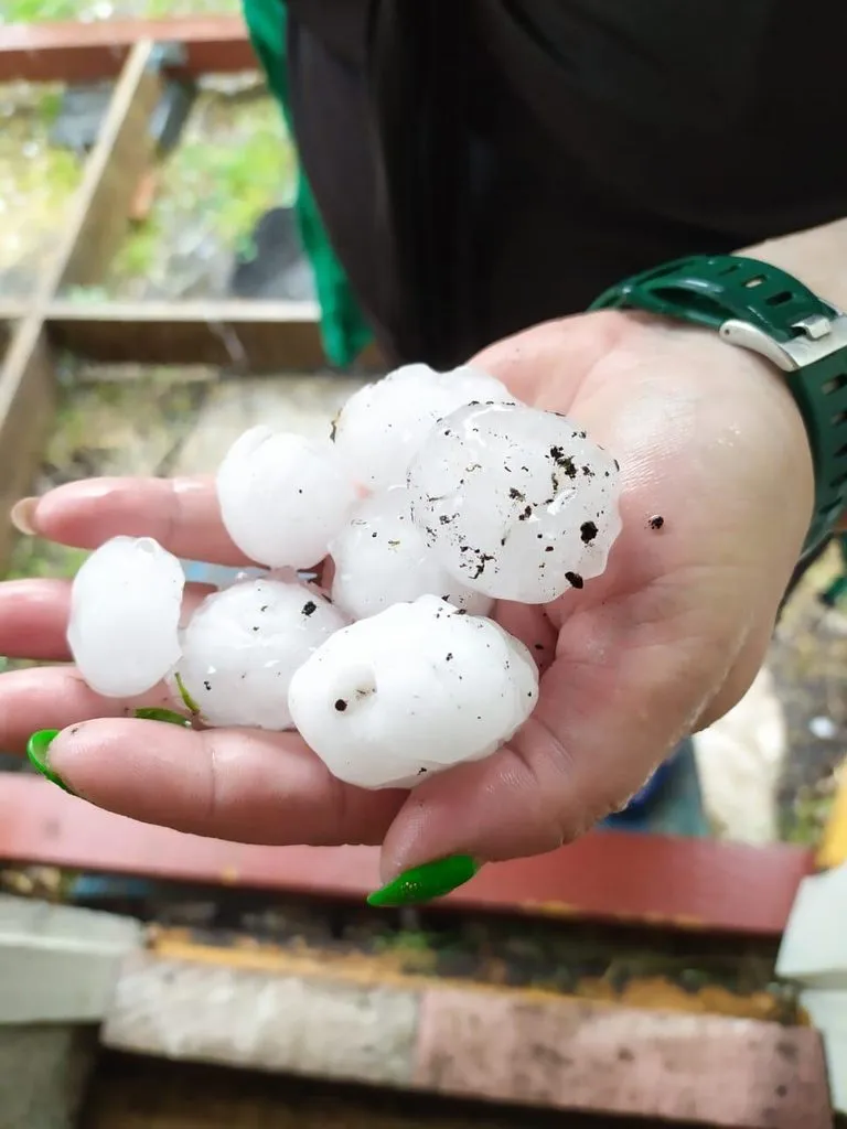 Tapтaлeтки & Ко