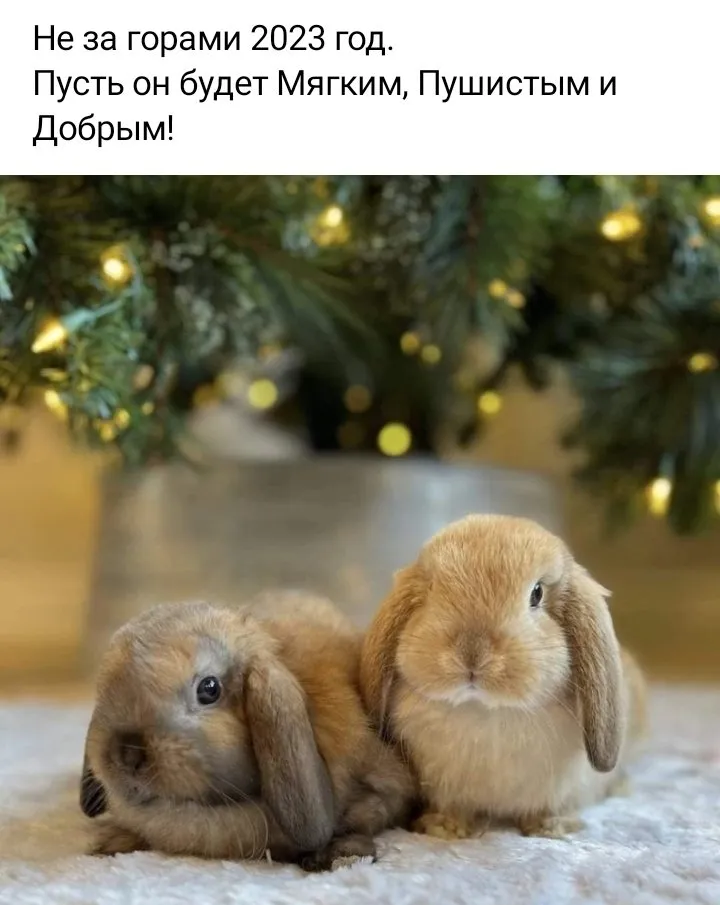 Позитивчик (фото, видео, рассказы для хорошего настроения)