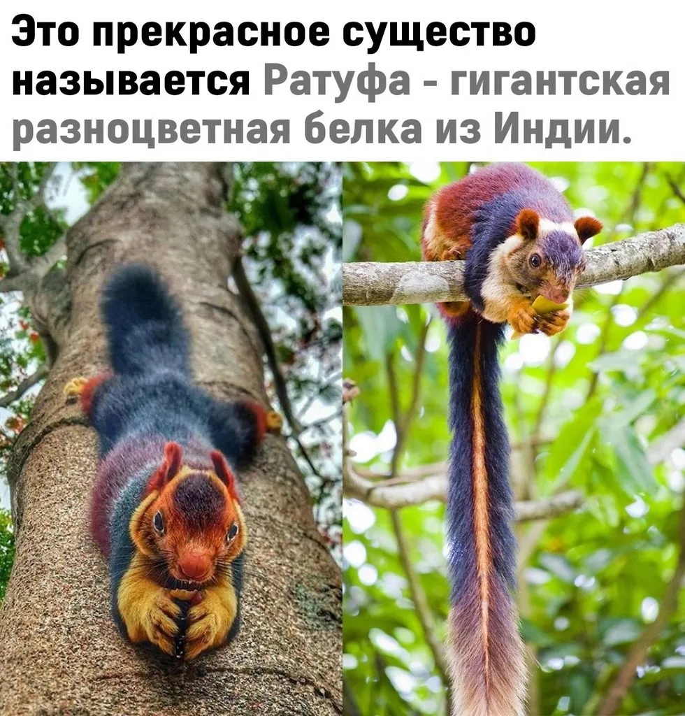 Это интересно!