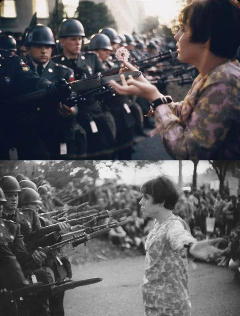 Запечатленная история