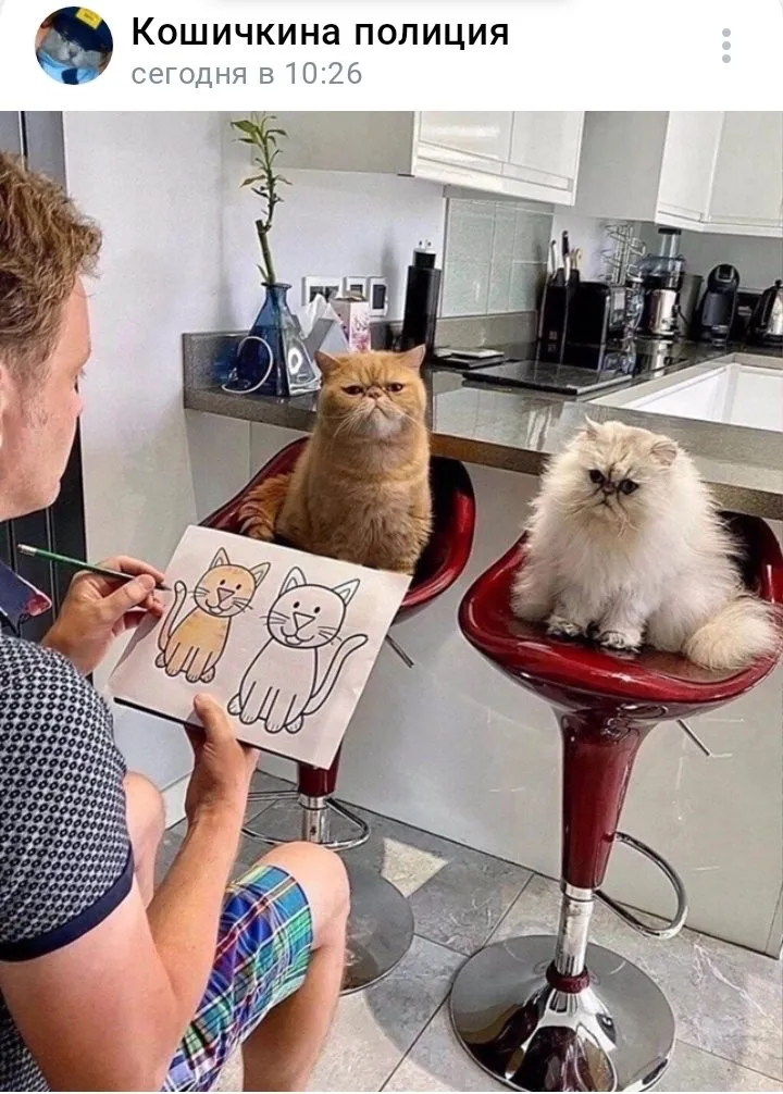 Кошичкина полиция