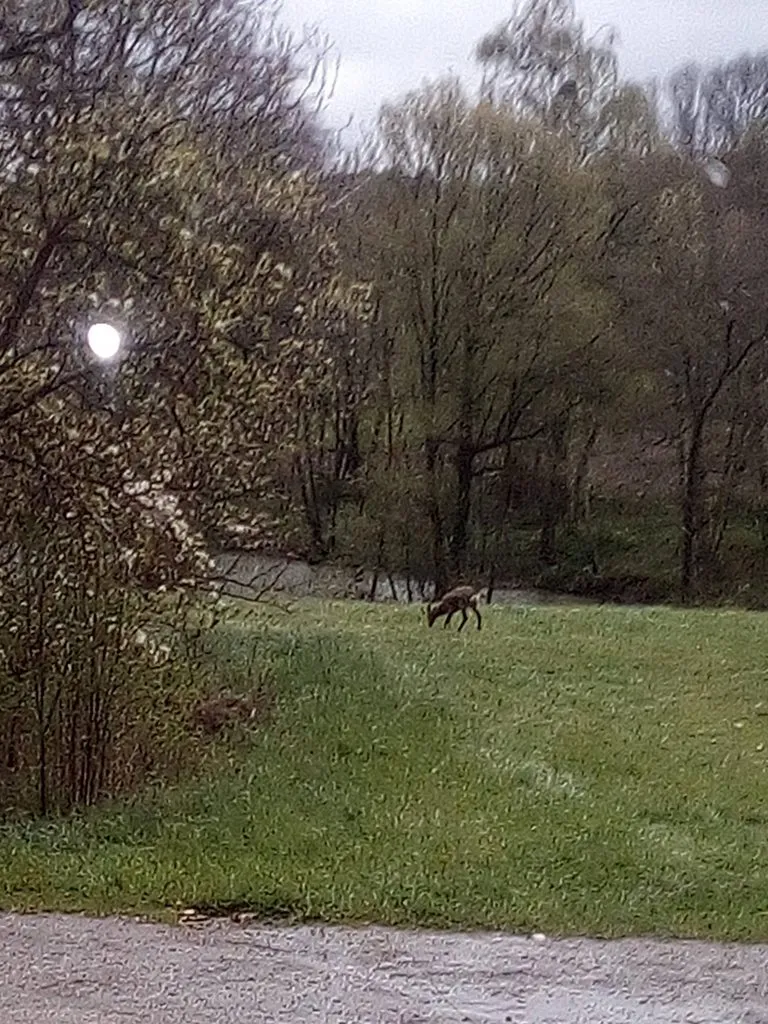 Чайная беседка