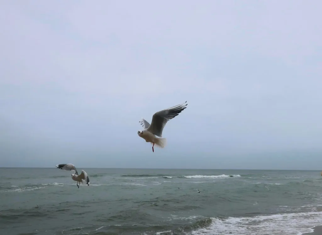 Ну здравствуй, Калининград! 35 лет спустя