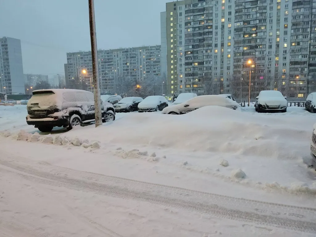 Tapтaлeтки & Ко