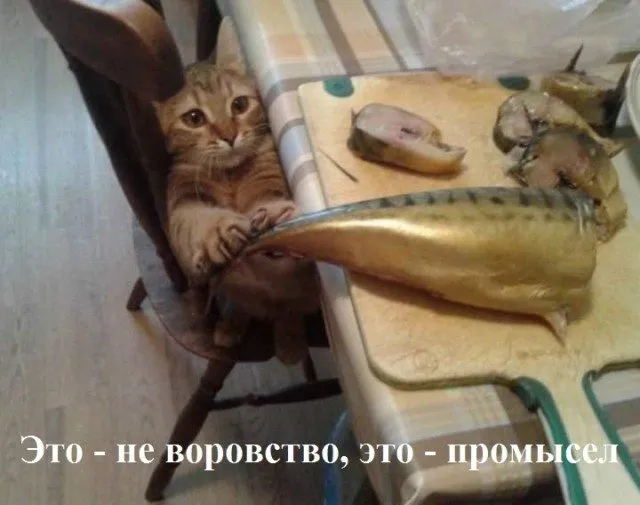 Посмеялся сам - поделись с другом!!!