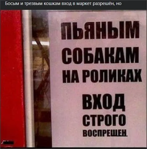 Всюду рифмы
