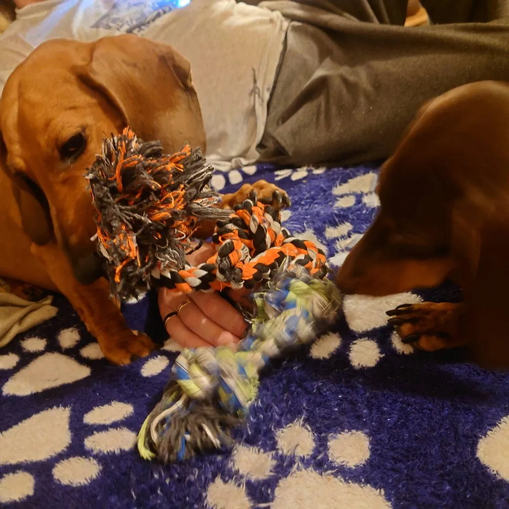 Живой Журнал Жульена