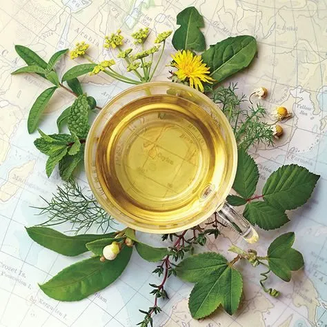 Чайная беседка