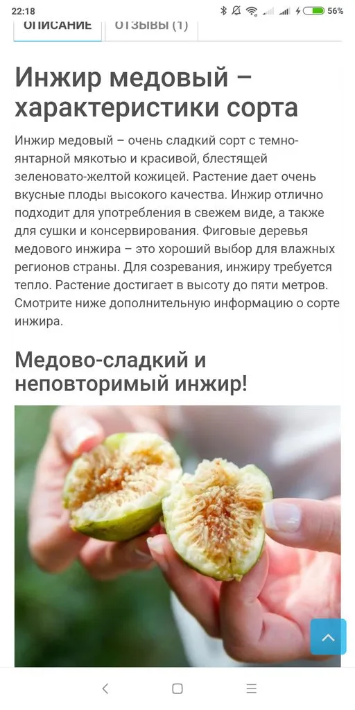 Кафе «У пани Сони»