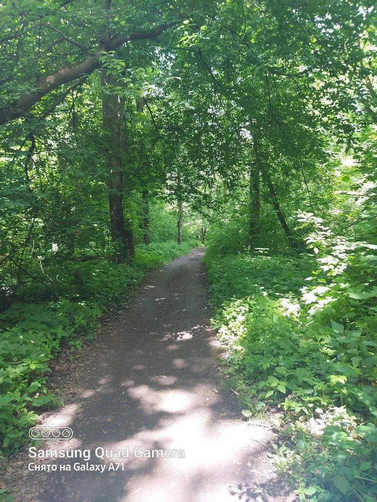 Чайная беседка