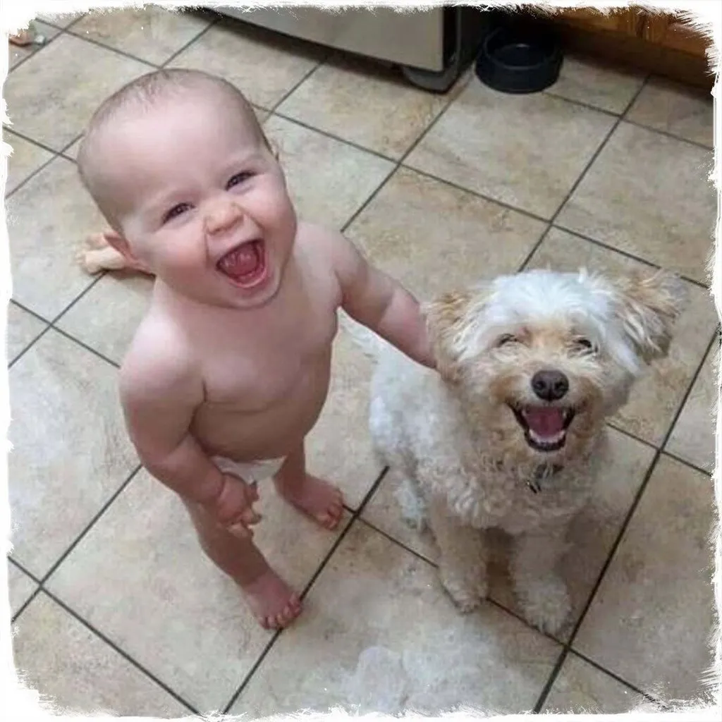 Прекрасное!