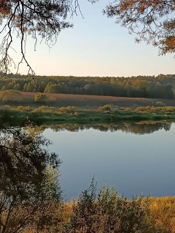 Красивые пейзажи