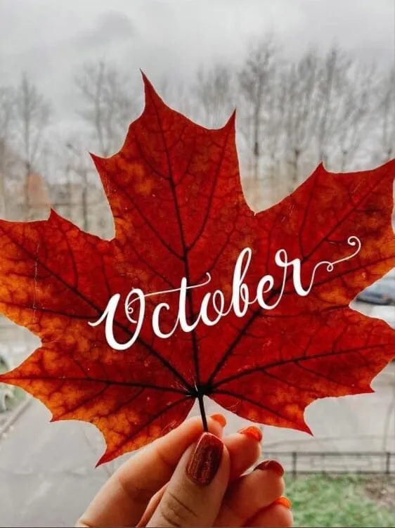 Tapтaлeтки & Ко