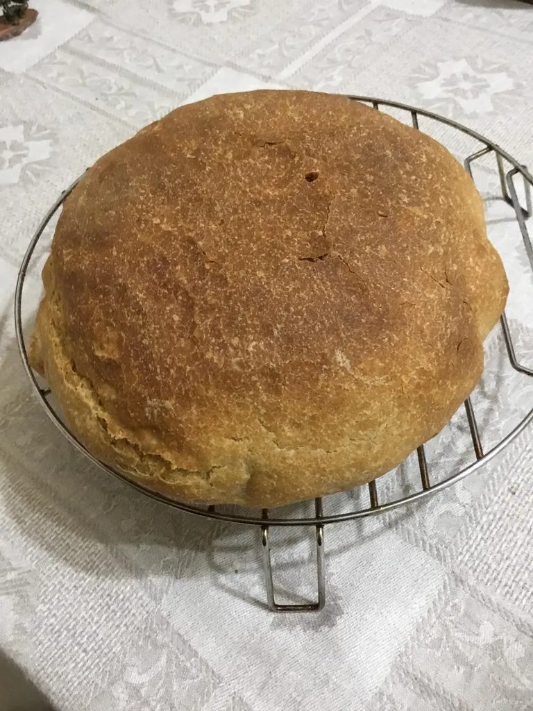 Tapтaлeтки & Ко