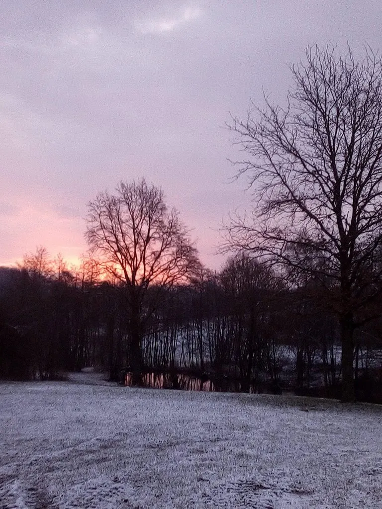 Чайная беседка