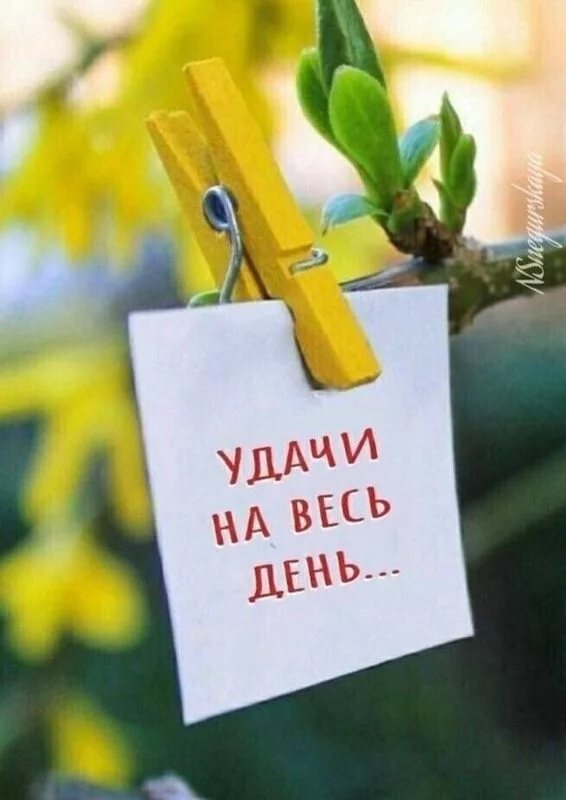 Кафе "У пани Сони"