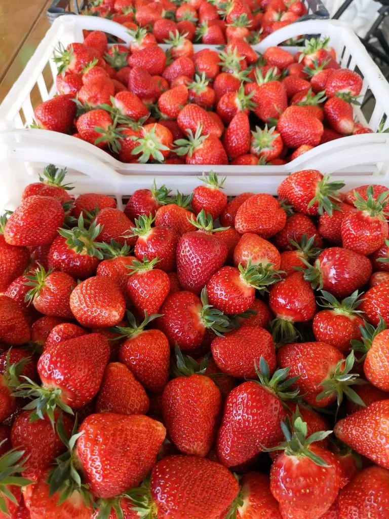 Чайная беседка