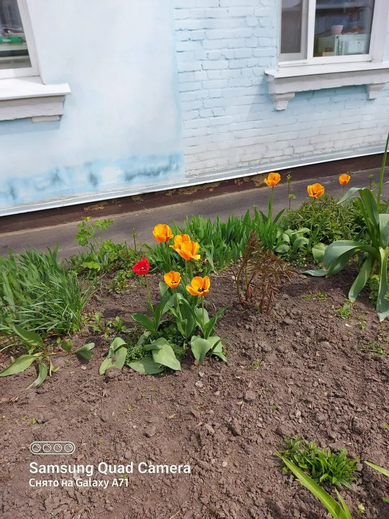 Чайная беседка