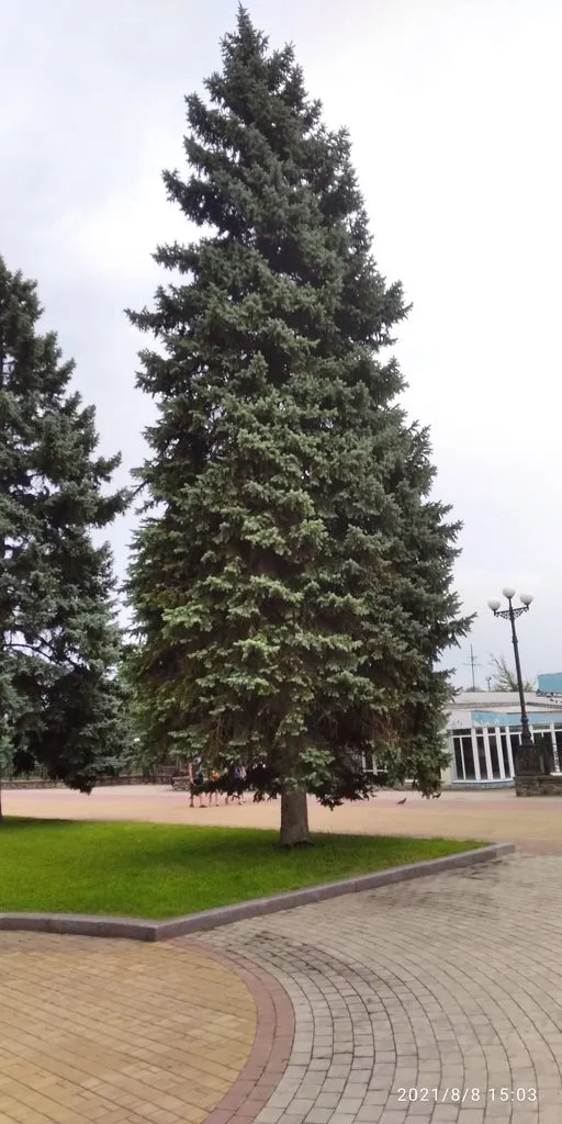 Tapтaлeтки & Ко