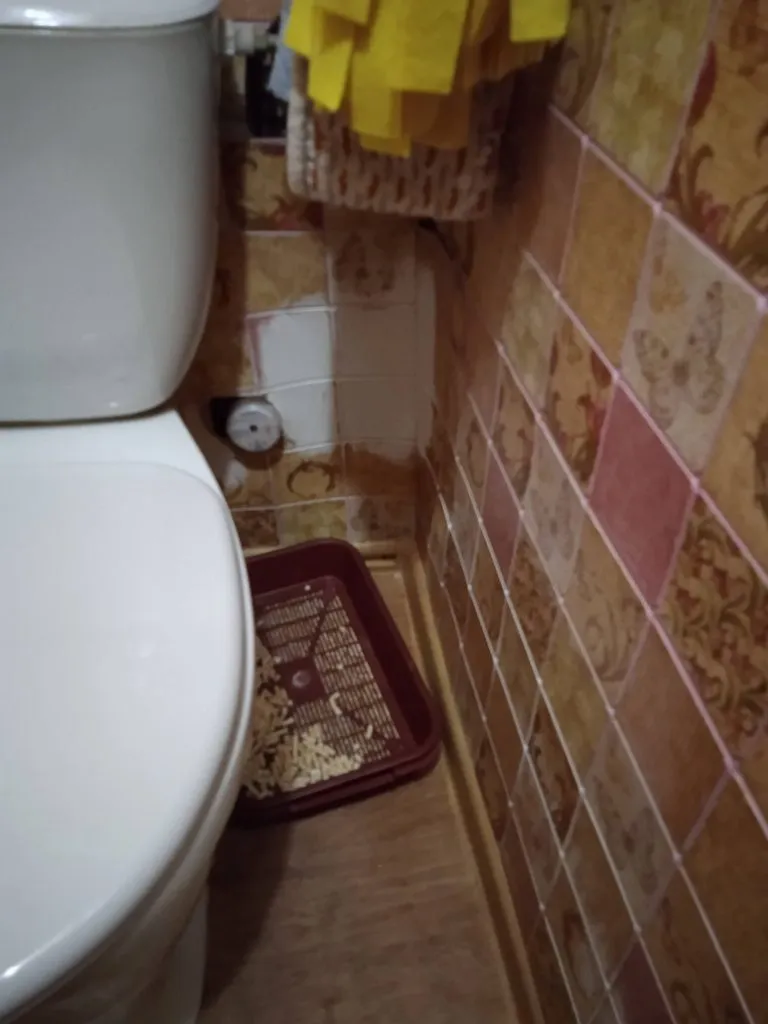 Вышивка крестиком