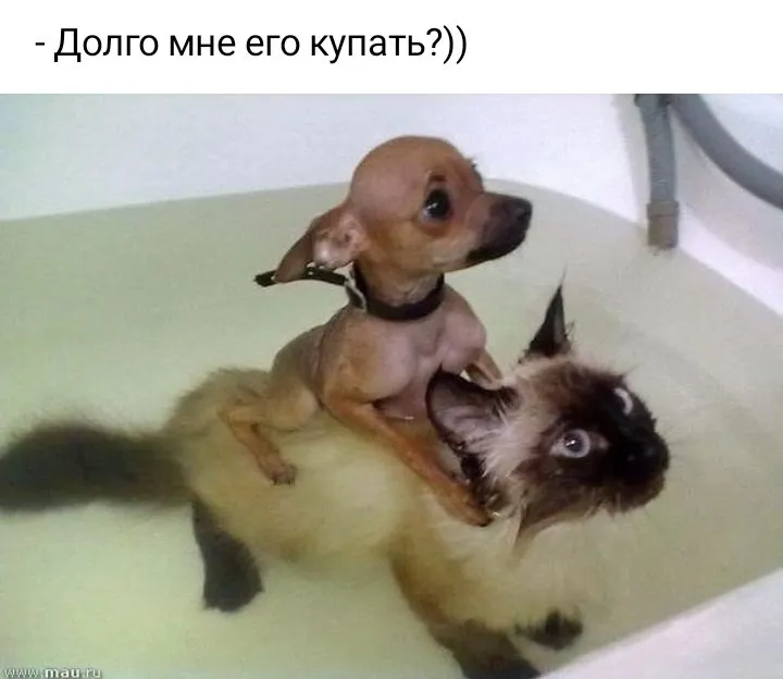 Посмеялся сам - поделись с другом!!!