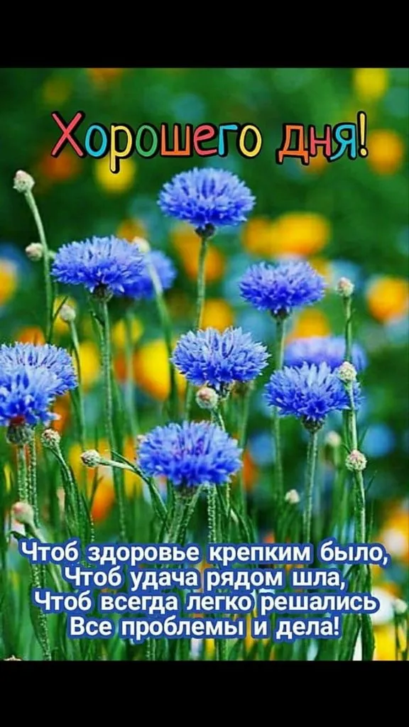Хочешь быть газелью? Готовь вместе с Гюзелью!