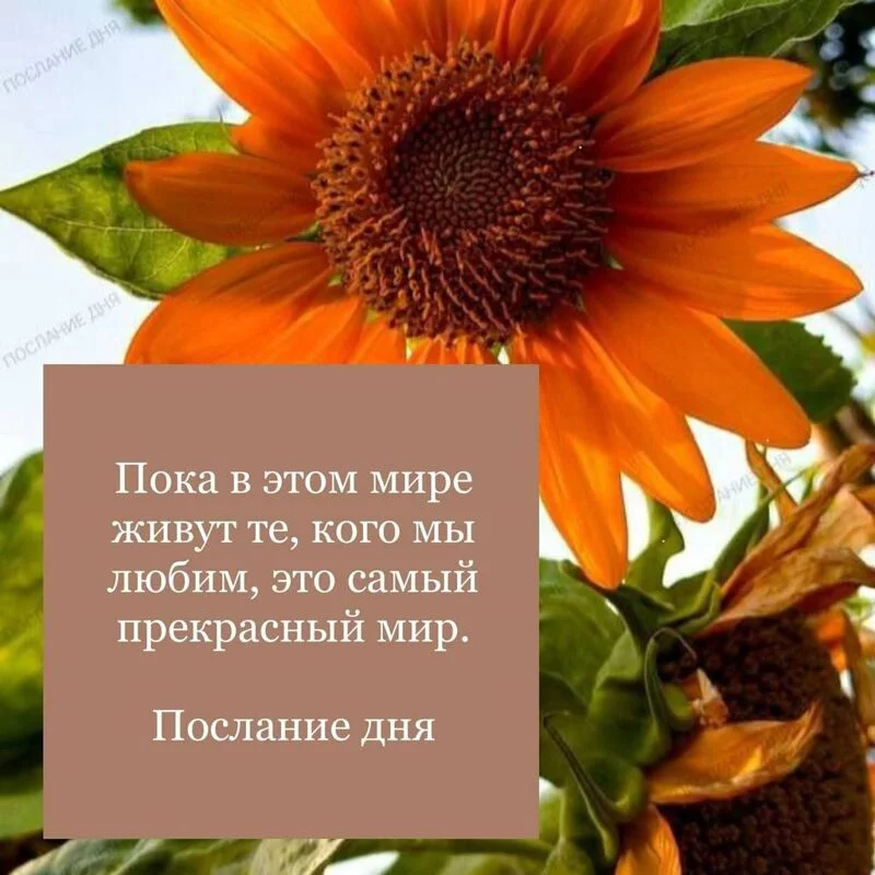 Кафе "У пани Сони"