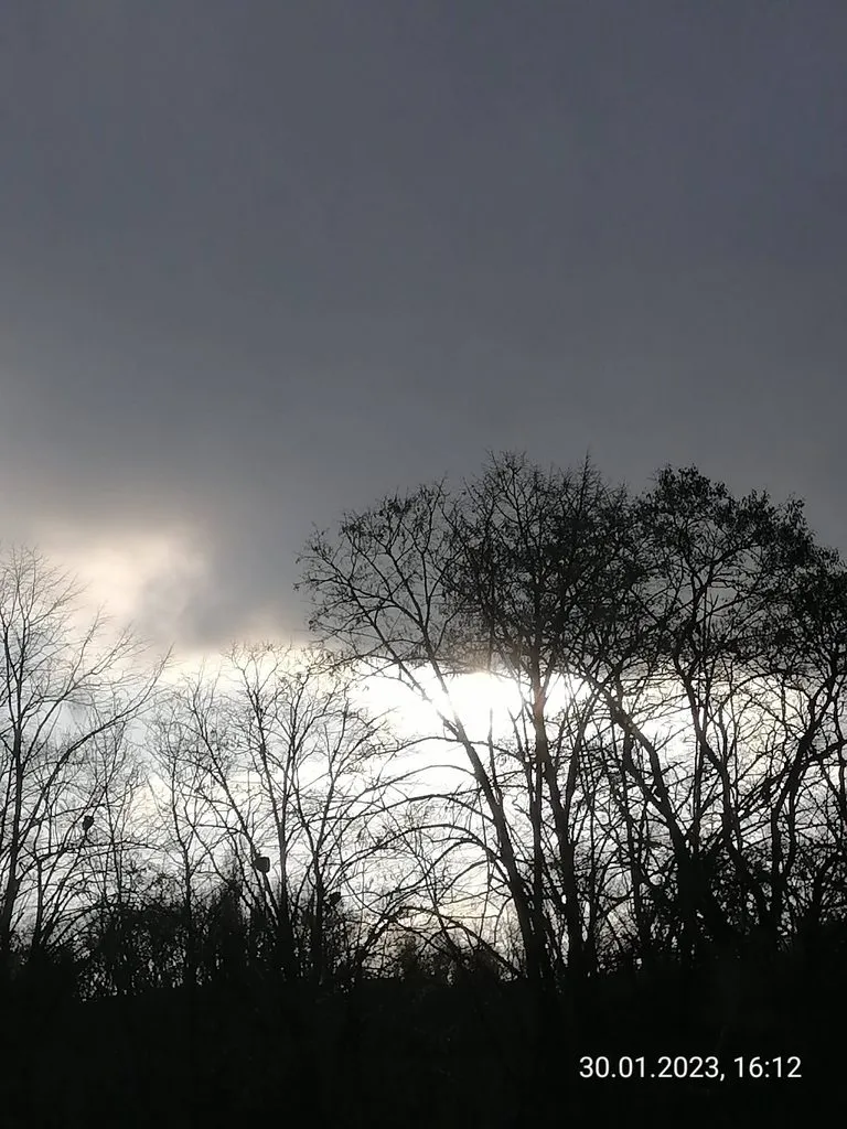 Такое разное небо