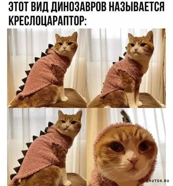 Посмеялся сам - поделись с другом!!!