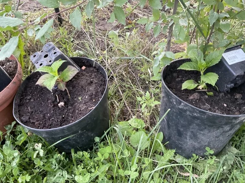 Загородная жизнь - обустройство на своей земле во всем ее разнообразии