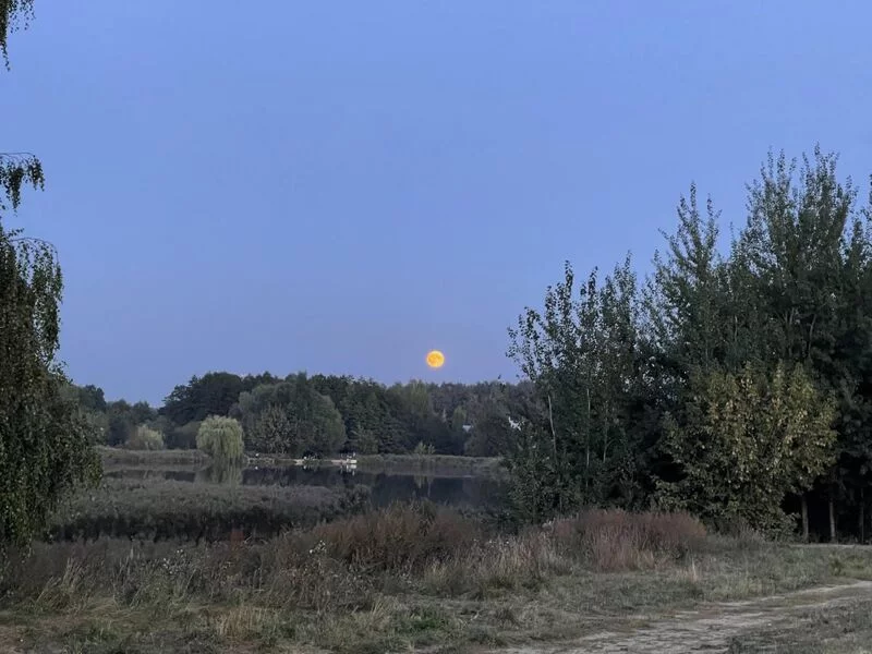 Чайная беседка