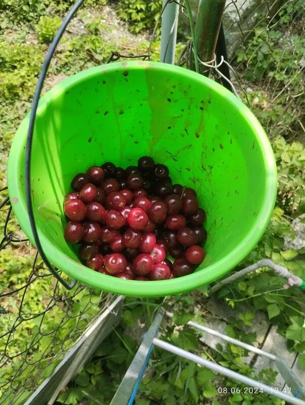 Кафе "У пани Сони"