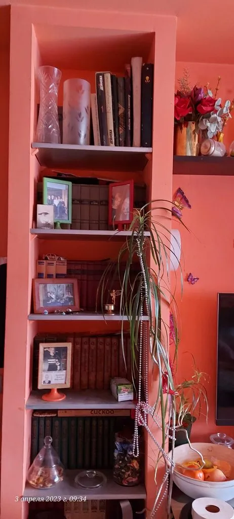Tapтaлeтки & Ко