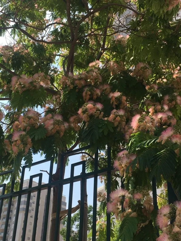 Чайная беседка